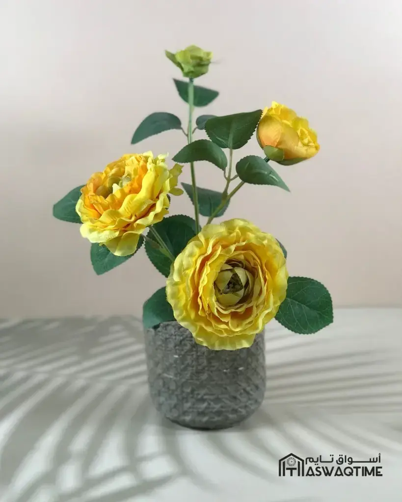 2838W-2837W 11 (13).webp