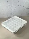 1000016806.webp