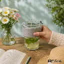 website - 2026-07-28T201032.064.webp