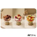 website - 2026-07-31T020758.386.webp