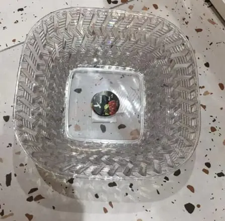 DAVE ACRYLIC FRUIT PLATE