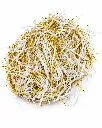 PH-HB-46 ITAALO CUT SHREDED PAPER 1.webp