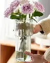 VV020-3.webp