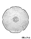 pasabhce (1).webp