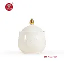 rosethermos_4577241_2025-10-02-09-56-53 (1).webp