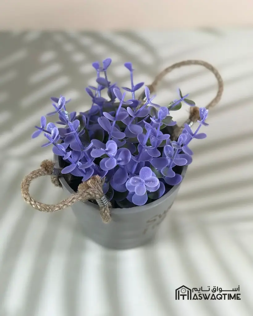 2838W-2837W 11 (40).webp
