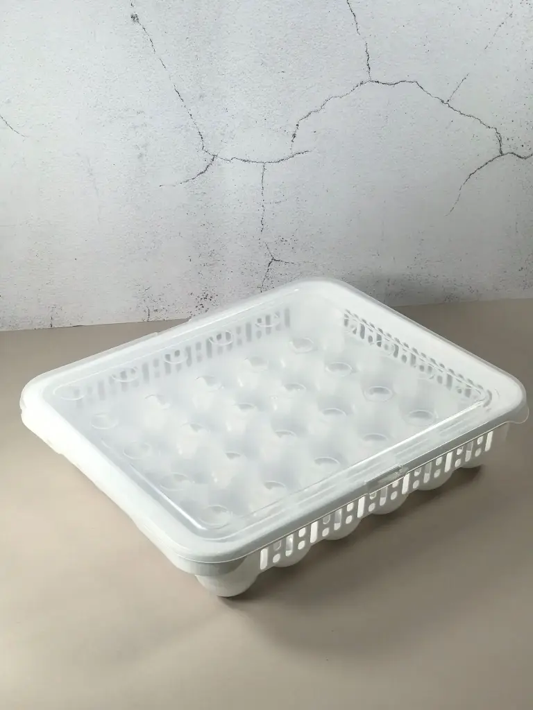 NEW EGG STORAGE CONTAINER 30  PCS