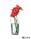 PASABAHCE FLORA GLASS VASE 26CM 1PC