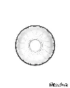 PASABAHCE BASIC TEA PLATE 6PCS Ø 102MM