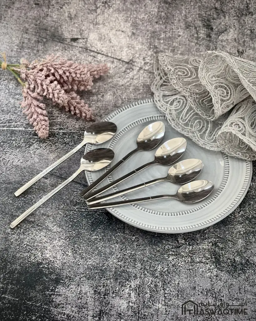 DANNY HOME 6PCS DINNER SPOON