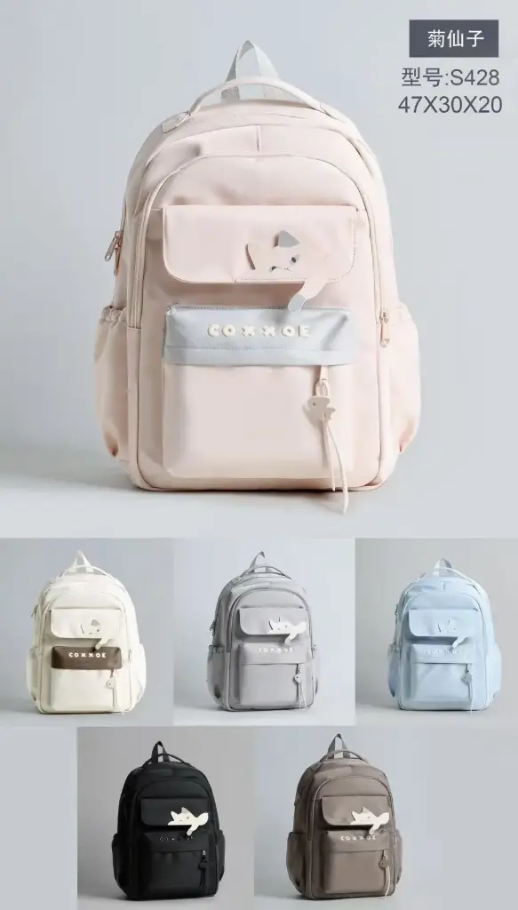 SCHOOL BACKPACK
