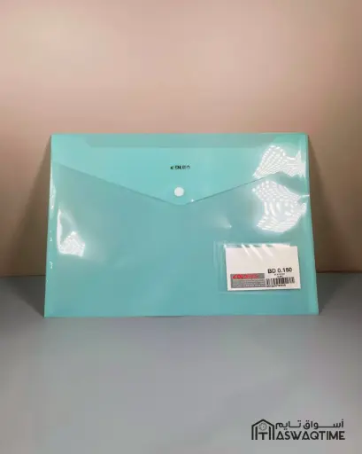 [MS06-DL5291] 20C A4 FILE BAG